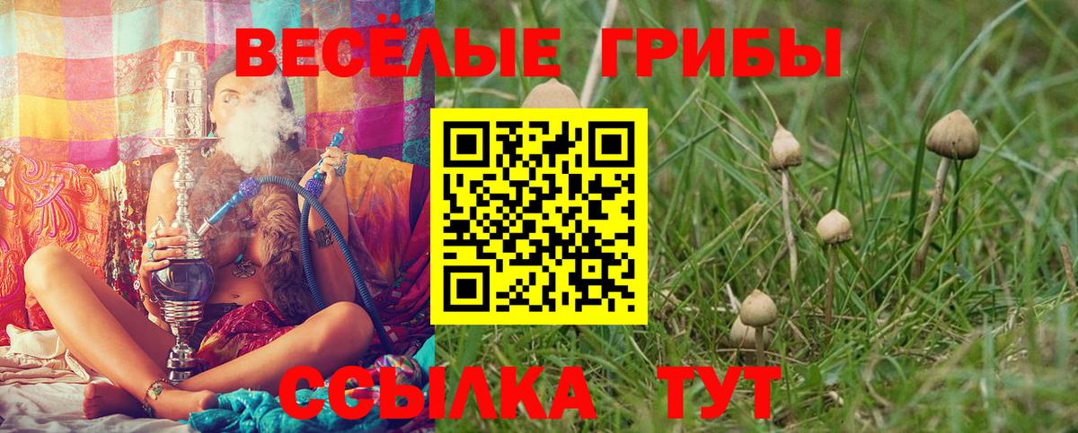 где продают   Вход с VPN  Коммунар  Галлюциногенные грибы мухоморы 