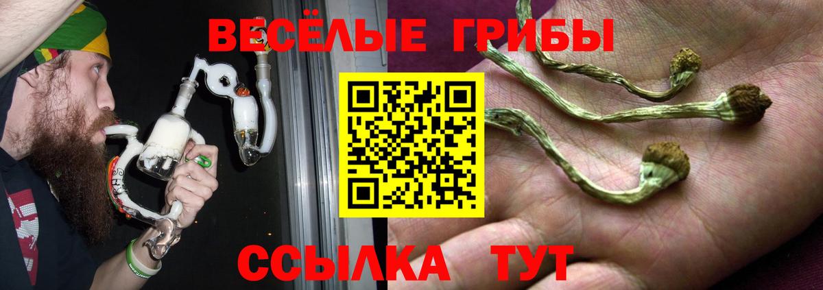 Псилоцибиновые грибы MAGIC MUSHROOMS Коммунар